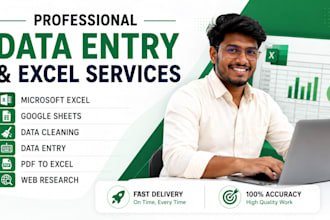 do data entry, clean, format, spilt, and merge excel data