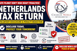 file your late netherlands tax return voluntary disclosure and penalty reduction