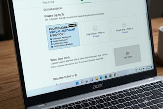 data entry or virtual assistance