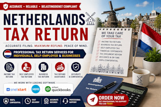 prepare and file your netherlands tax return accurately and professionally