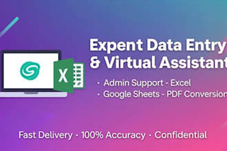 data entry, excel and virtual assistant tasks
