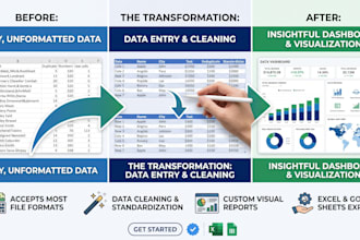 clean, organise, and visualise your data in excel or google sheets