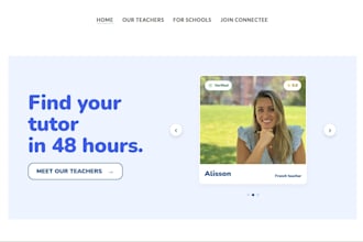 develop custom admin panel or dashboard with react and next