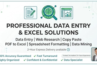 do copy paste work, excel formatting, and clean up
