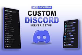 create a professional discord server setup