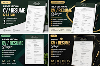 make a professional resume CV for job applications