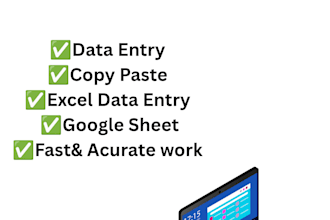 data entry, google sheet and excel work