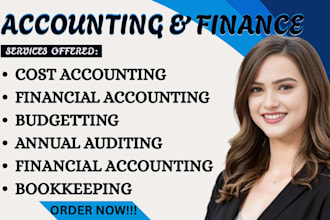 do bookkeeping, financial accounting, budgeting and audit support