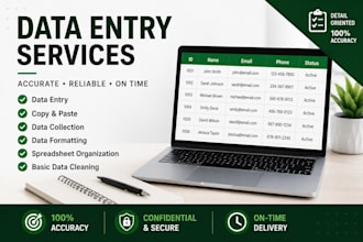 do accurate data entry and microsoft excel tasks