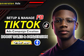 setup and run tiktok ads campaign, fb tiktok ads manager, face book ads campaign