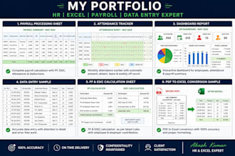 do excel data entry, payroll, attendance sheet and dashboard