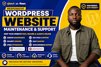 provide maintenance and support for wordpress website