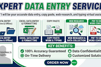 do professional data entry,copy paste and typing work