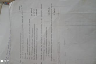 design website on word or you