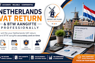 file your netherlands vat return and btw aangifte professionally