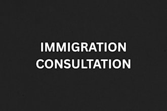 provide professional US immigration legal services
