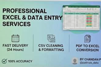do excel data entry, csv cleaning, and pdf to excel conversion