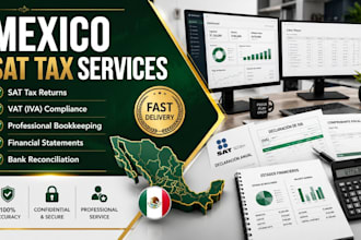 prepare mexico sat tax returns vat compliance bookkeeping and financial reports