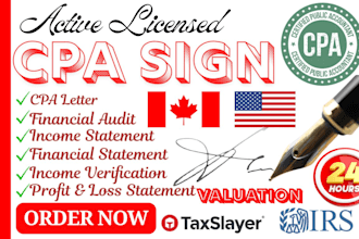 provide an express CPA income verification letter in 24 hours