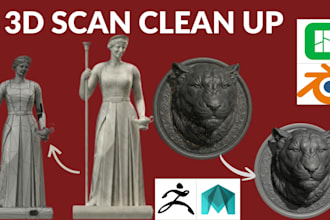do 3d scan cleanup, mesh repair, retopology and stl fix for 3d printing