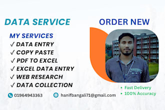do excel data entry and professional designer