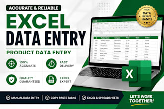 do accurate excel data entry and product data entry