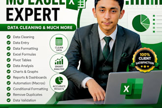 do microsoft excel data entry,data cleaning and formatting