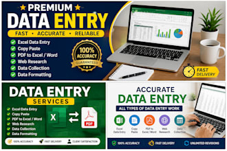 do accurate data entry, copy paste, excel data entry, pdf conversion