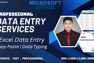 do professional excel data entry