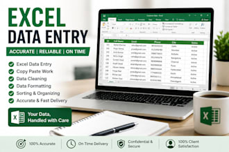 do accurate excel data entry and data typing