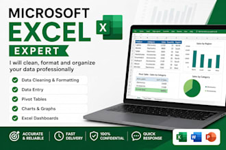 clean, format, and organize excel data professionally