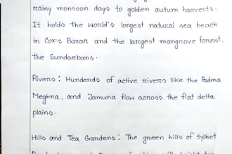 do professional english handwriting and handwritings notes