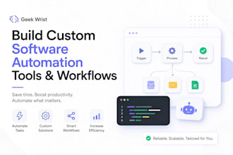 build custom software automation tools and workflows