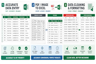 do accurate data entry, data typing and excel data entry