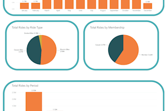 be your data analyst, data modeler, and visual storyteller