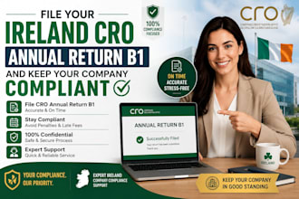file your ireland cro annual return b1 and keep your company compliant
