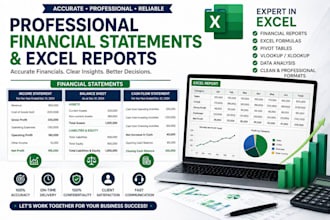 create professional financial statements and excel reports