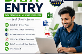 do data entry, data processing, word, excel, PDF conversion
