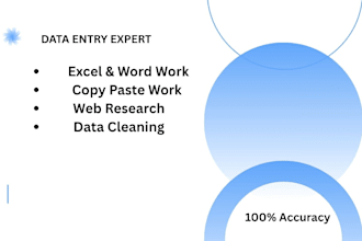 do expert data entry, excel data entry, and copypaste work