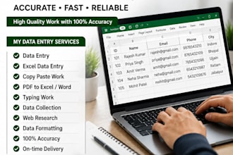 do accurate data entry ,copy past ,excle and typing work
