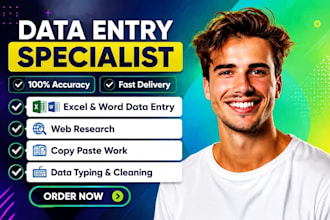 do excel data entry, web research and copy paste