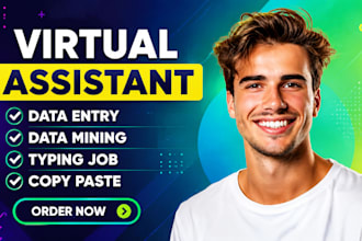 do professional data entry and web research
