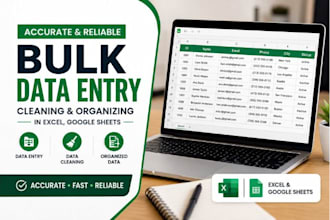 do accurate bulk data entry, cleaning and organizing in excel, google sheets