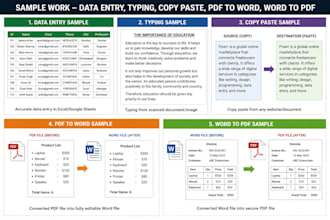 accurate data entry, copy paste, typing and PDF to word