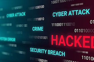 ddos attack, website down security, website attack, ddos website, down attack