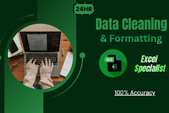 do professional data cleaning and data formatting in excel