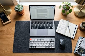 do professional typing and content writing