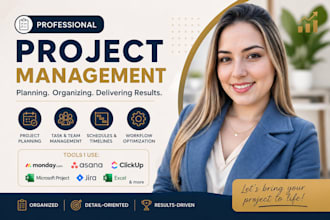 project manager provide project management business strategy virtual assistance