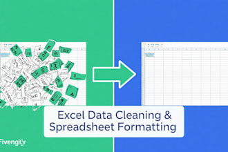 clean format and organize excel spreadsheets