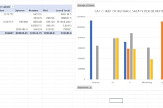analyze your data using stata and excel